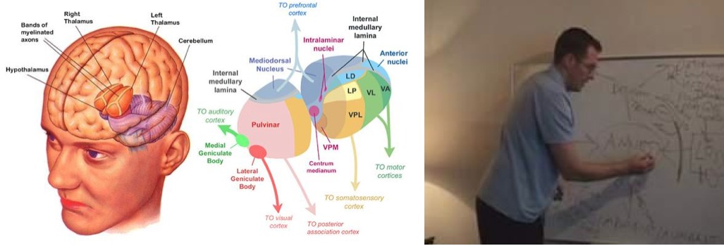 dr paul dobransky boundaries